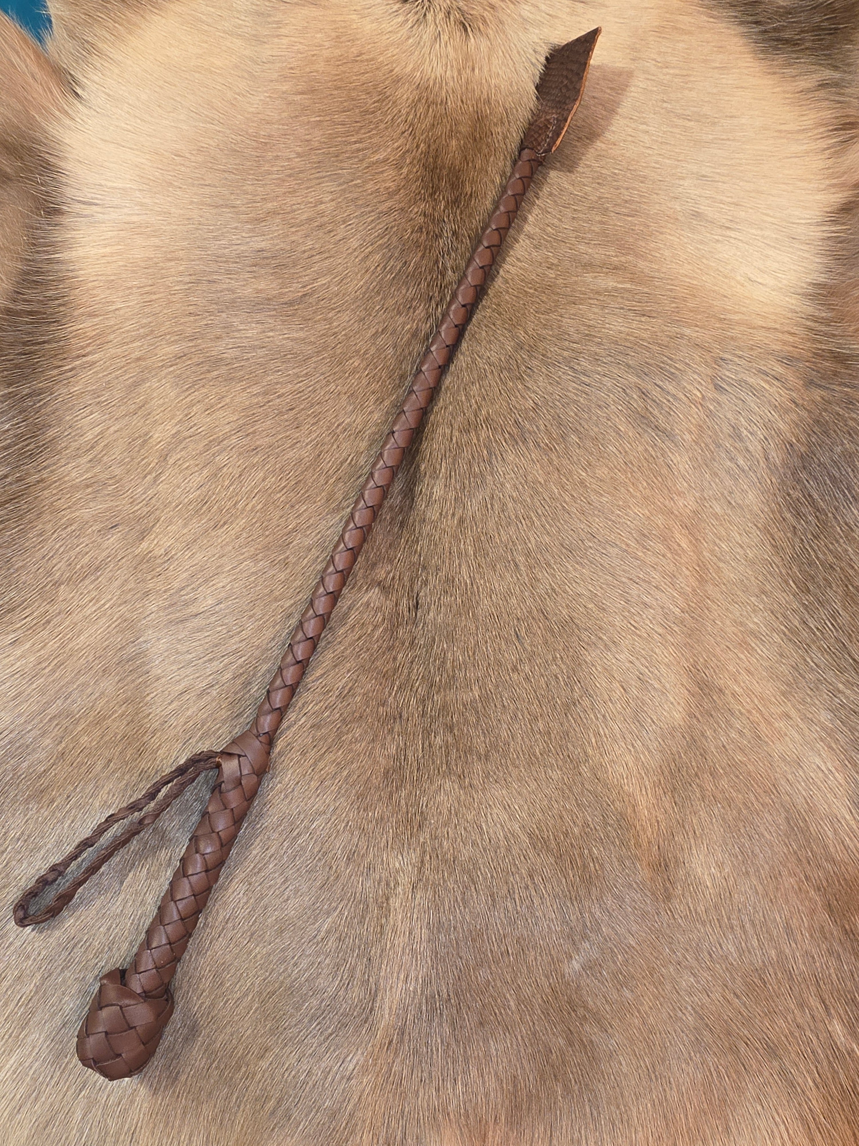Shadowsnap Riding Crop